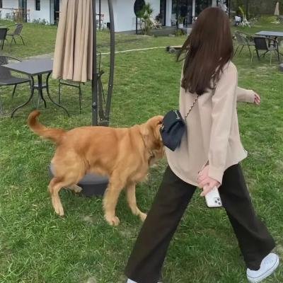 超级少女第六季